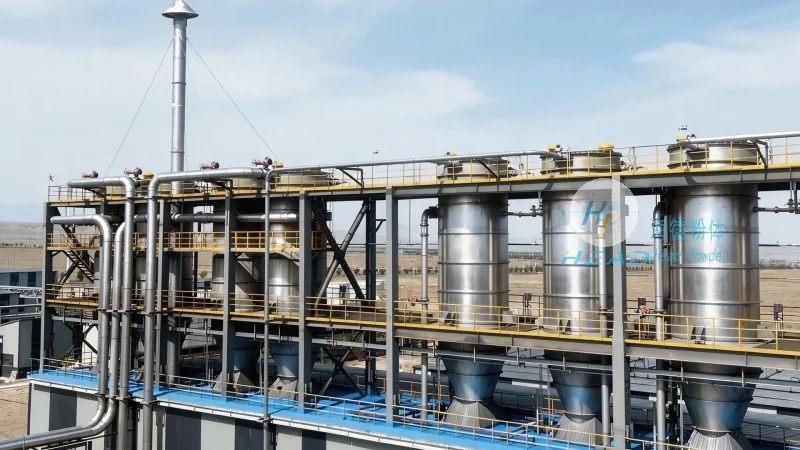 Introduction to the Fermentation Curd Powder Conveying System: Structure and Working Principle