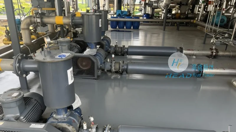 Design Considerations for a Desulfurization Sodium Bicarbonate Pneumatic Conveying System
